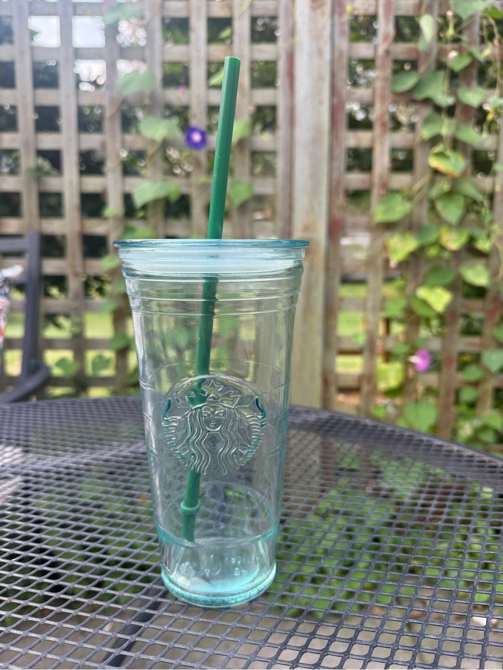 Starbucks RARE Glass Cold Cup with Green Straw